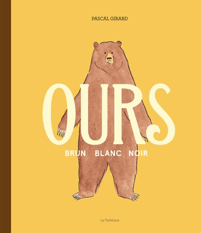 Ours  brun, blanc, noir