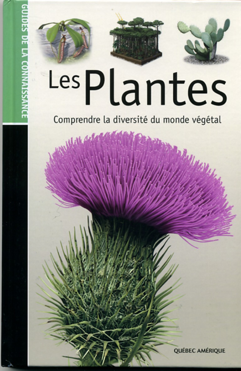 Les plantes : comprendre la diversité du monde végétal.