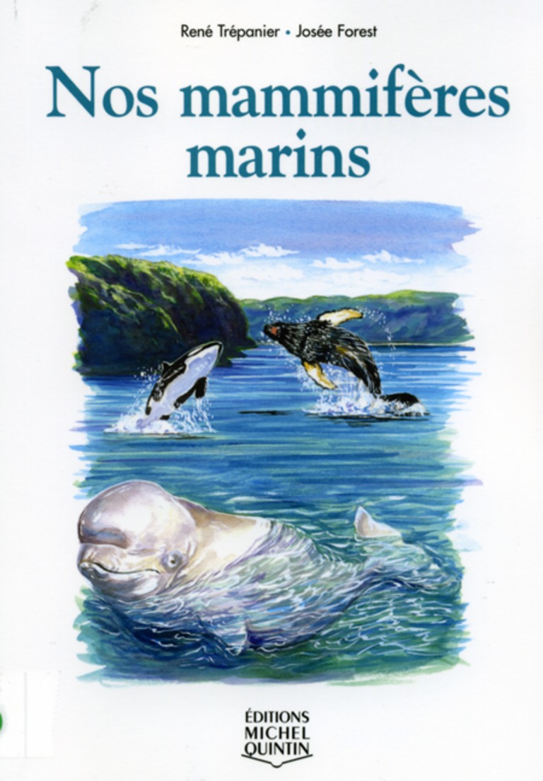 Nos mammifères marins