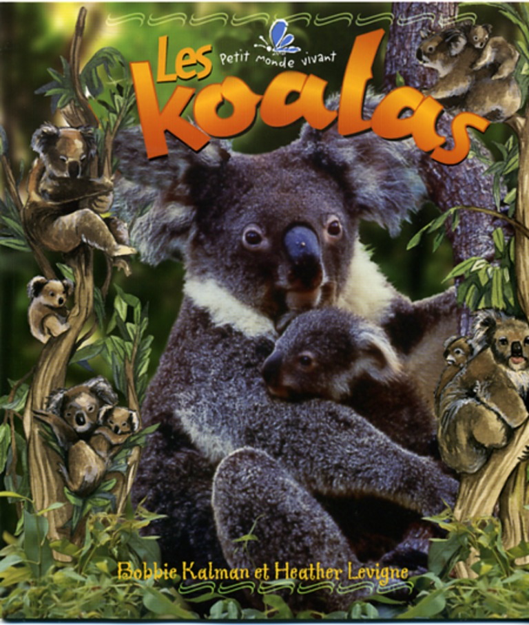 Les koalas