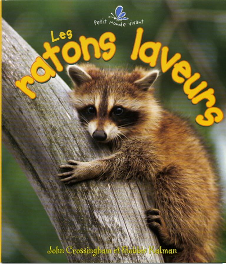 Les ratons laveurs