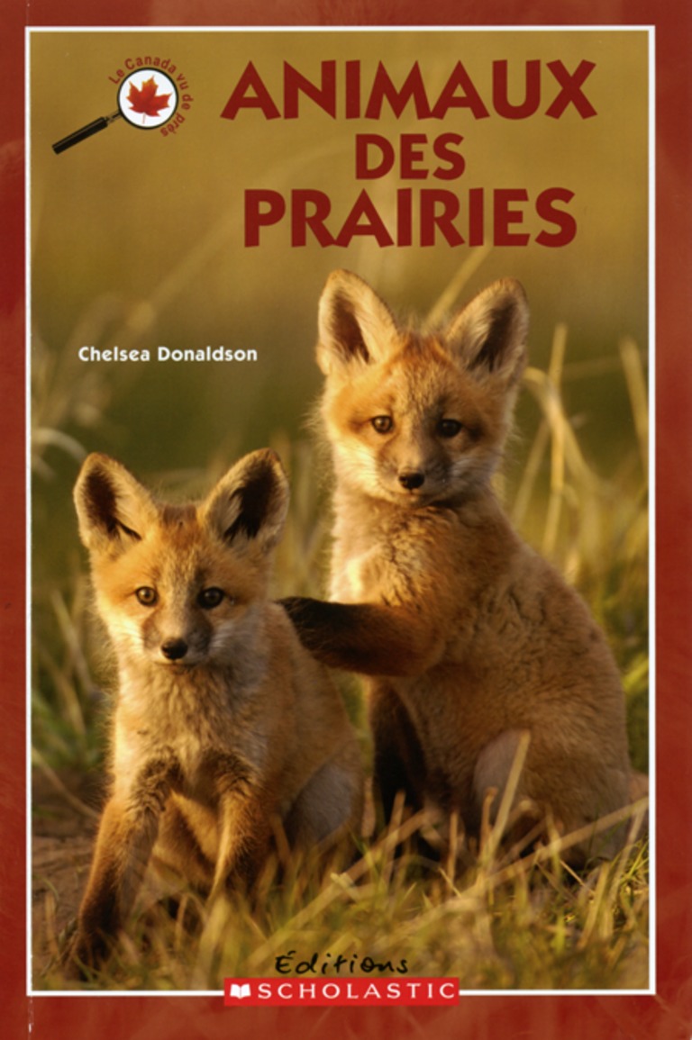 Animaux des prairies