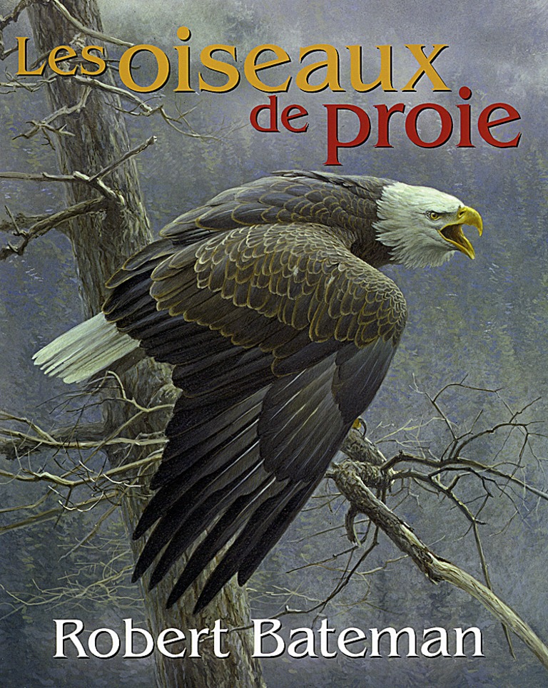 Les oiseaux de proie