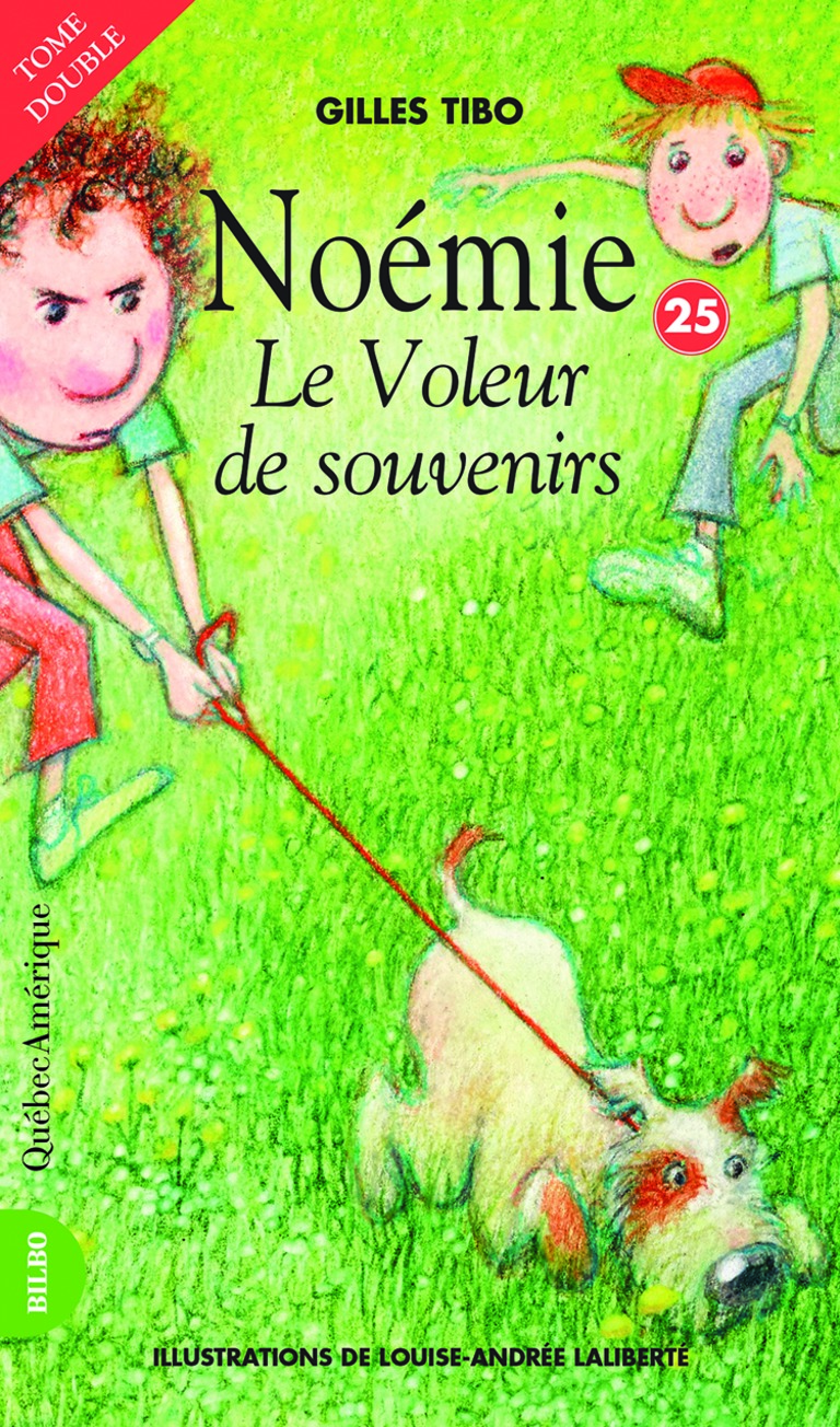 Le voleur de souvenirs