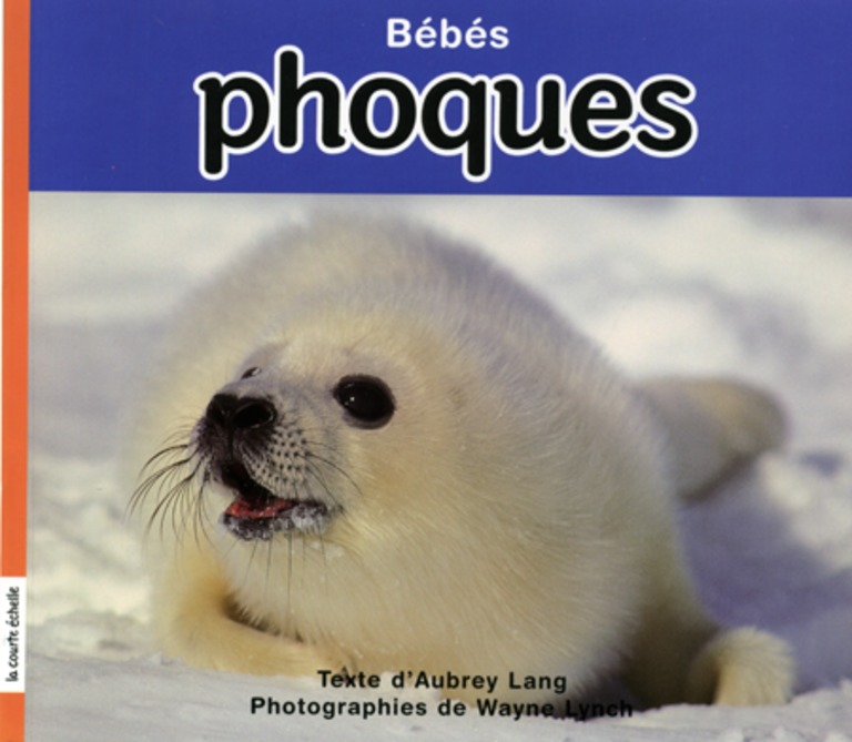 Bébés phoques