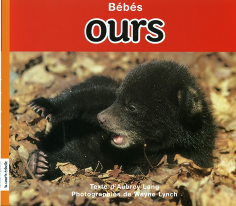 Bébés ours