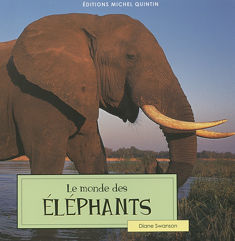 Le monde des éléphants