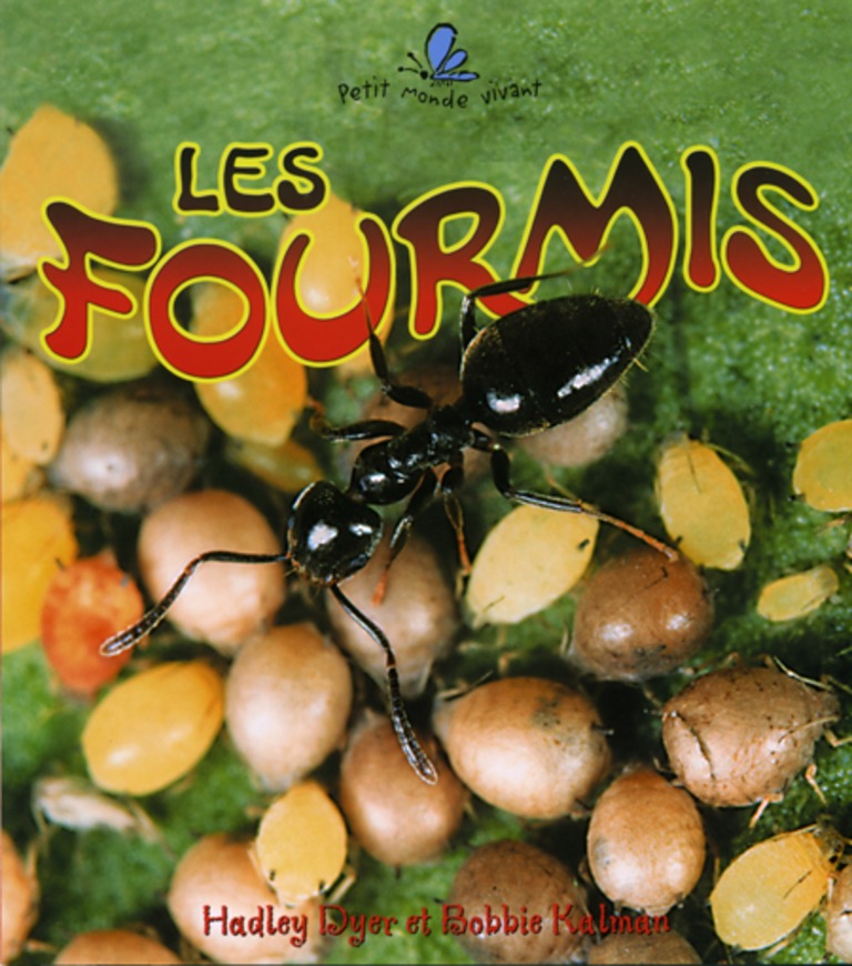 Les fourmis