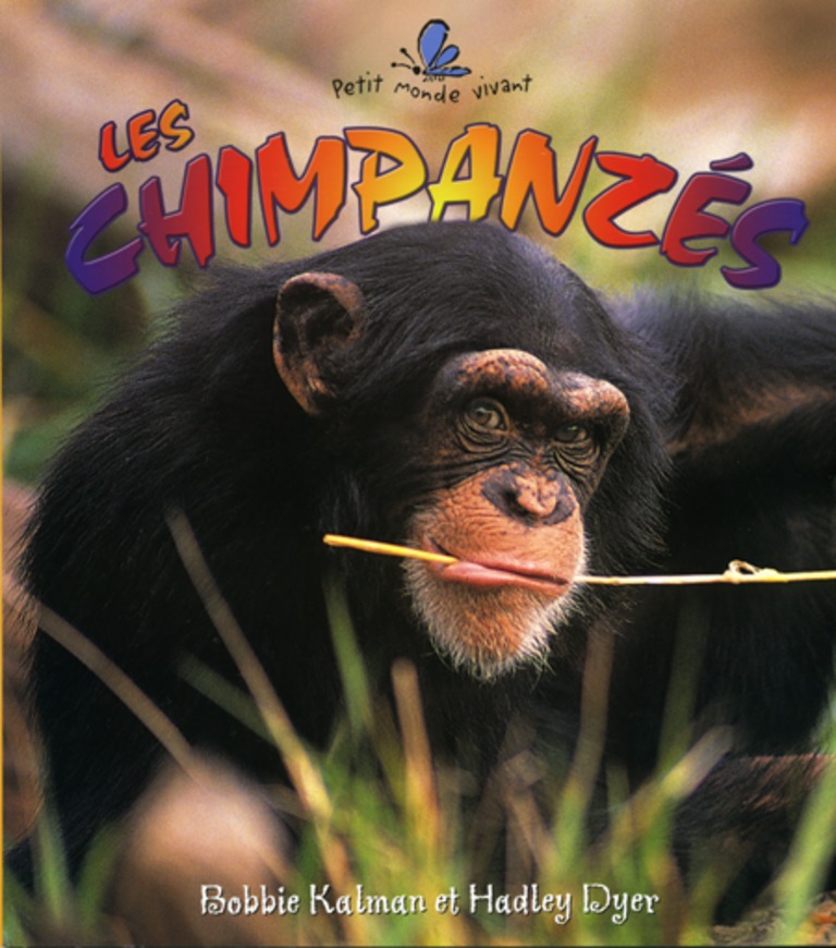 Les chimpanzés