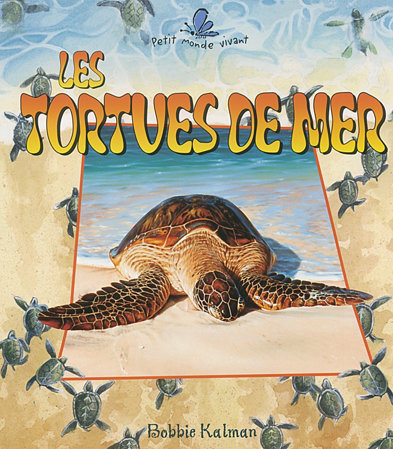 Les tortues de mer