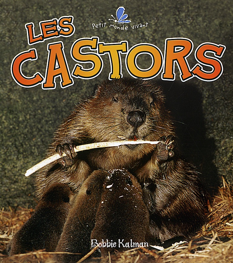 Les castors