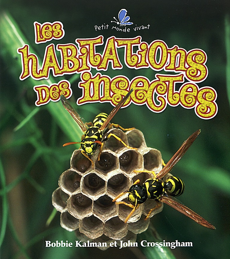 Les habitations des insectes