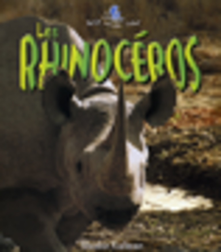 Les rhinocéros