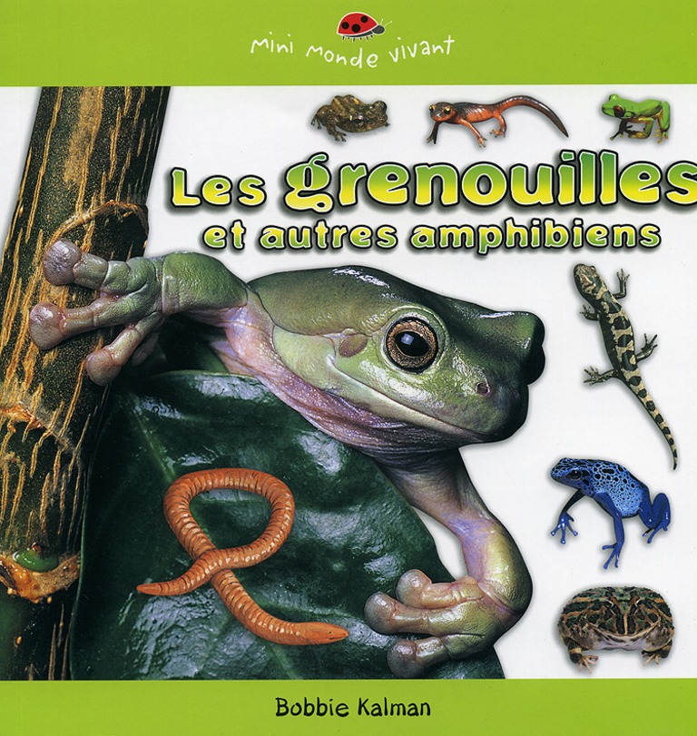 Les grenouilles et autres amphibiens