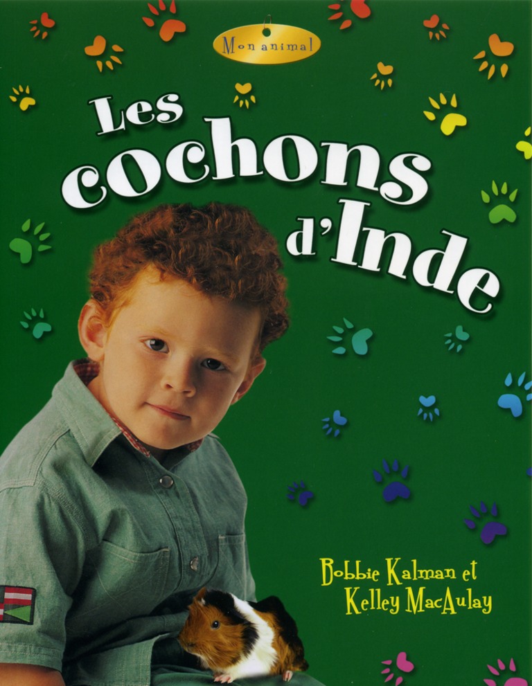 Les cochons d’Inde