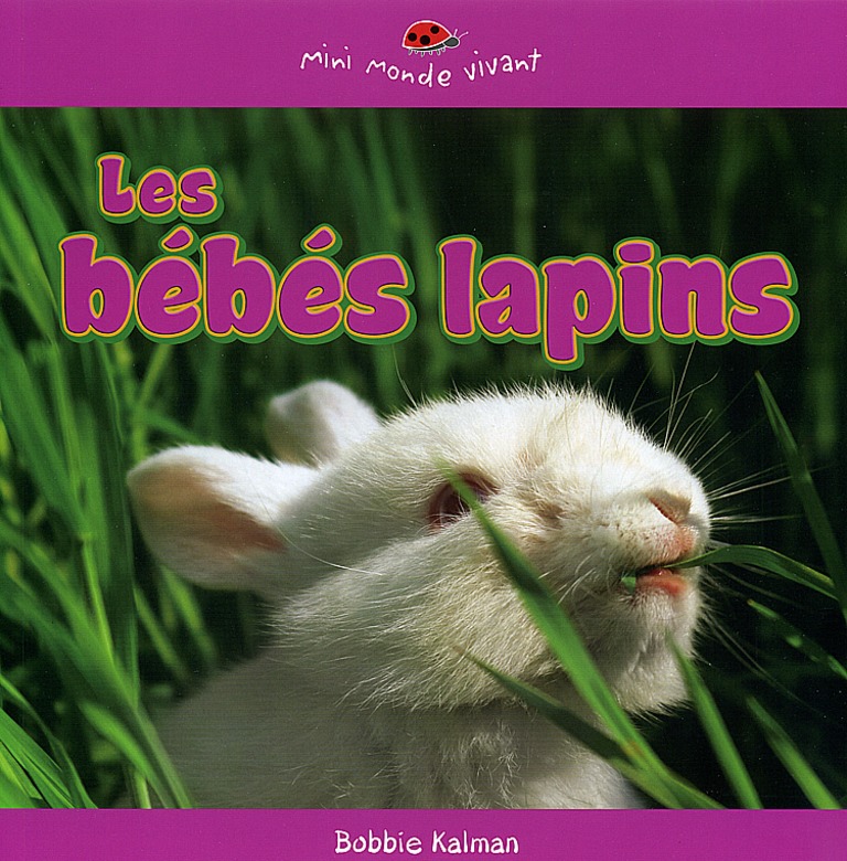 Les bébés lapins