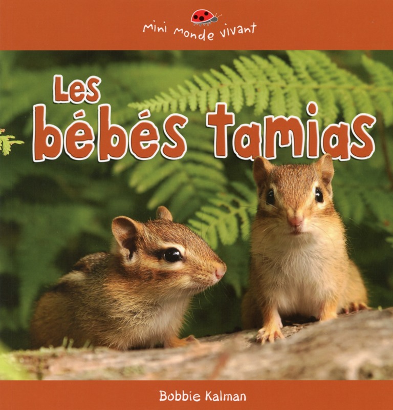 Les bébés tamias