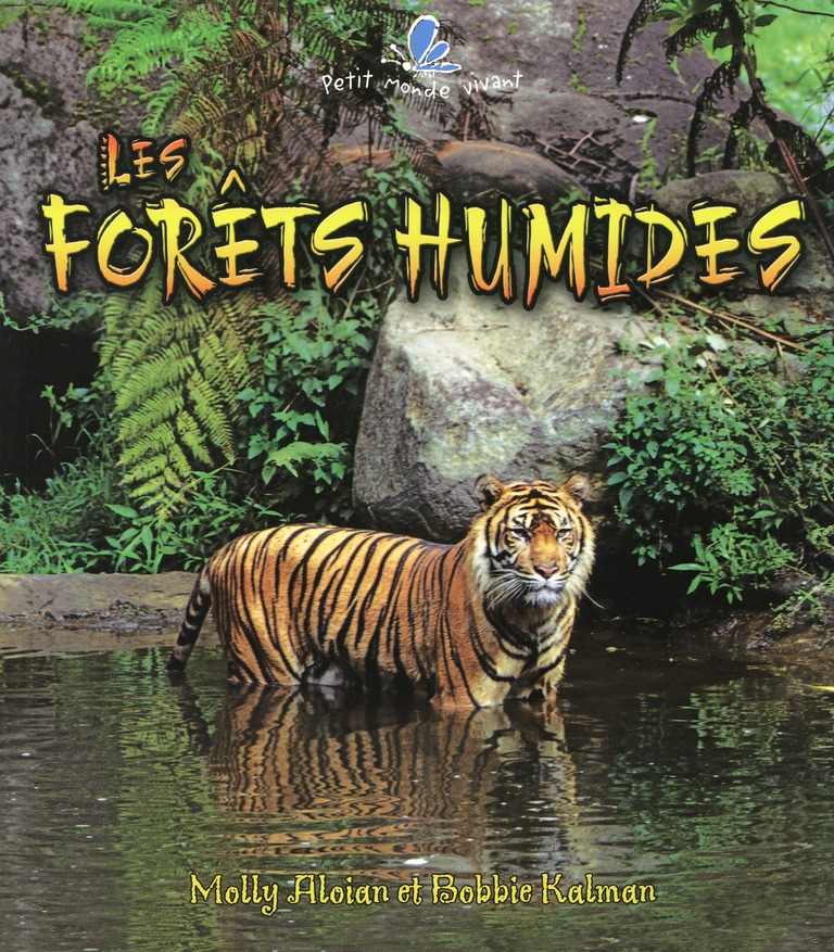 Les forêts humides