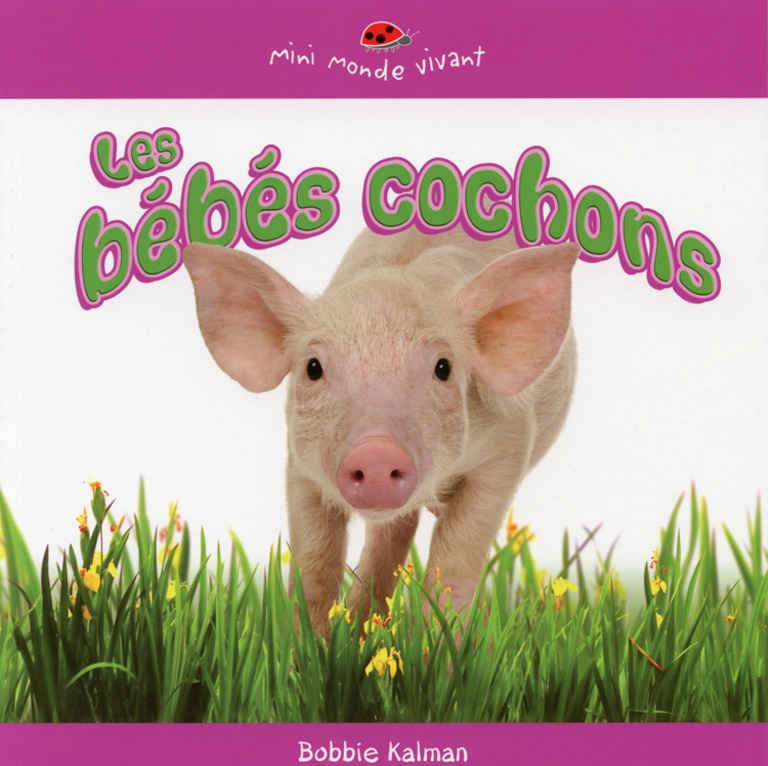 Les bébés cochons