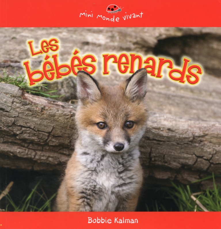 Les bébés renards