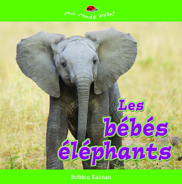 Les bébés éléphants