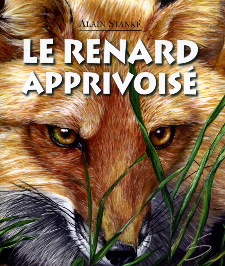 Le renard apprivoisé