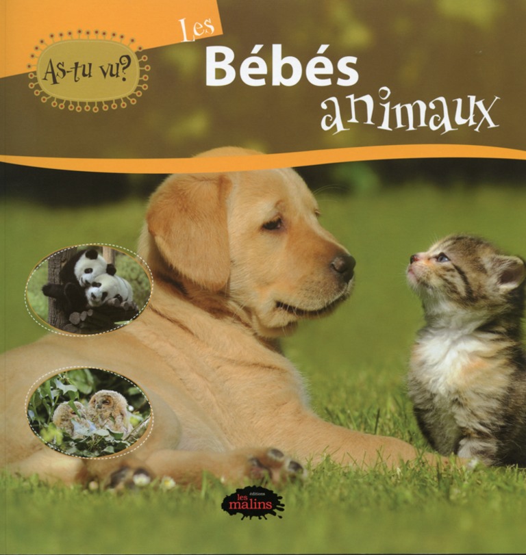 Les bébés animaux