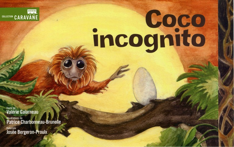 Coco incognito : [théâtre]