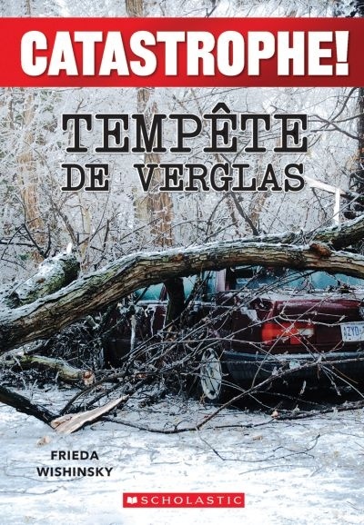 Tempête de verglas