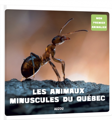 Les animaux minuscules du Québec.