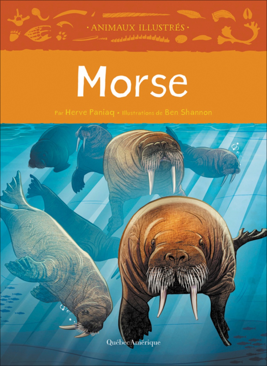 Morse