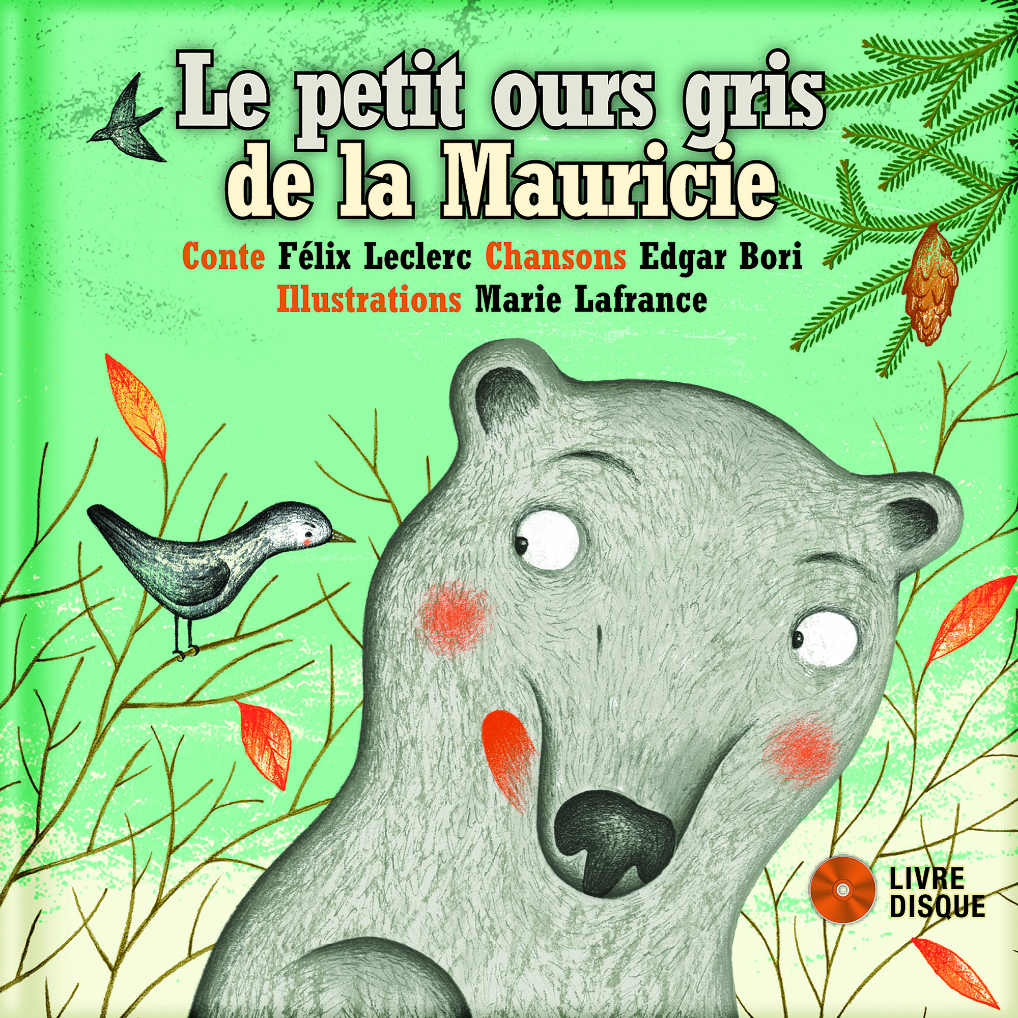 Le petit ours gris de la Mauricie