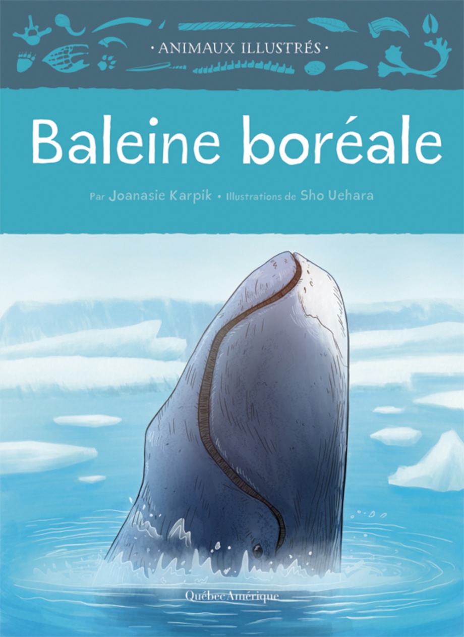 Baleine boréale