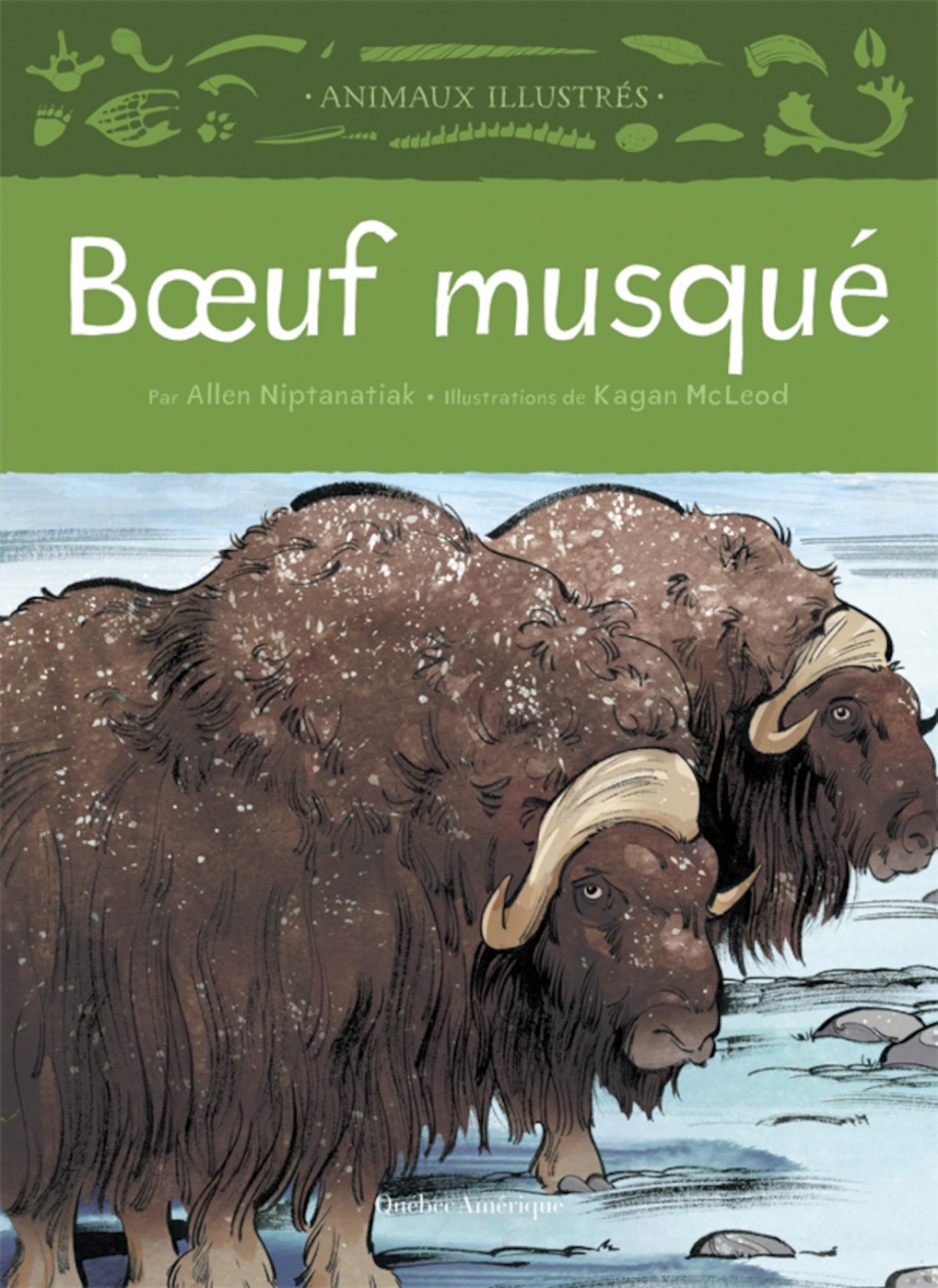 Boeuf musqué