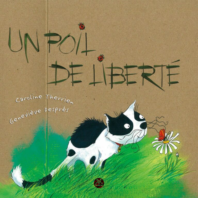 Gilles Tibo Le petit chevalier qui n'aimait pas la pluie by Gilles Tibo,  Paperback, Indigo Chapters