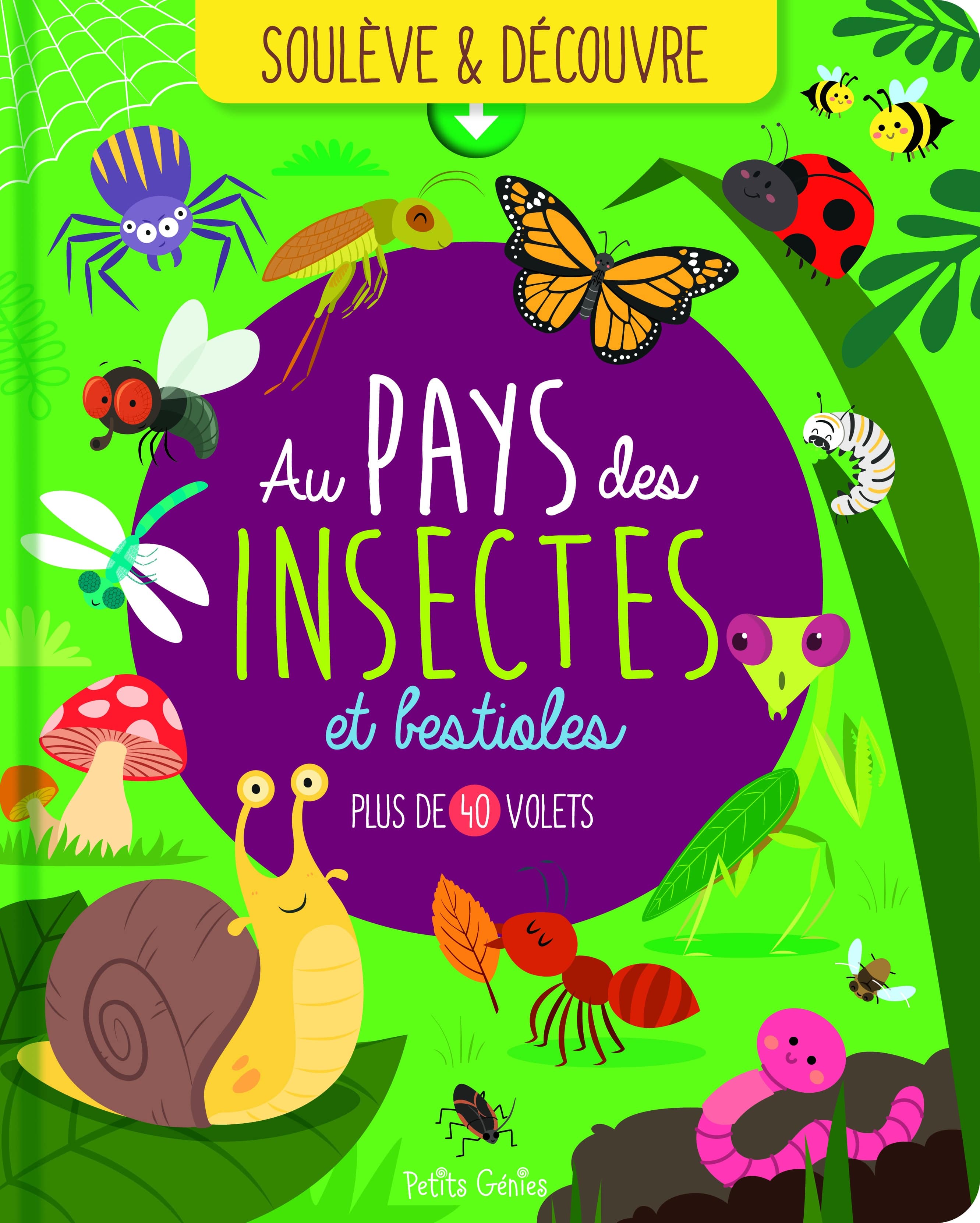 Au pays des insectes et bestioles