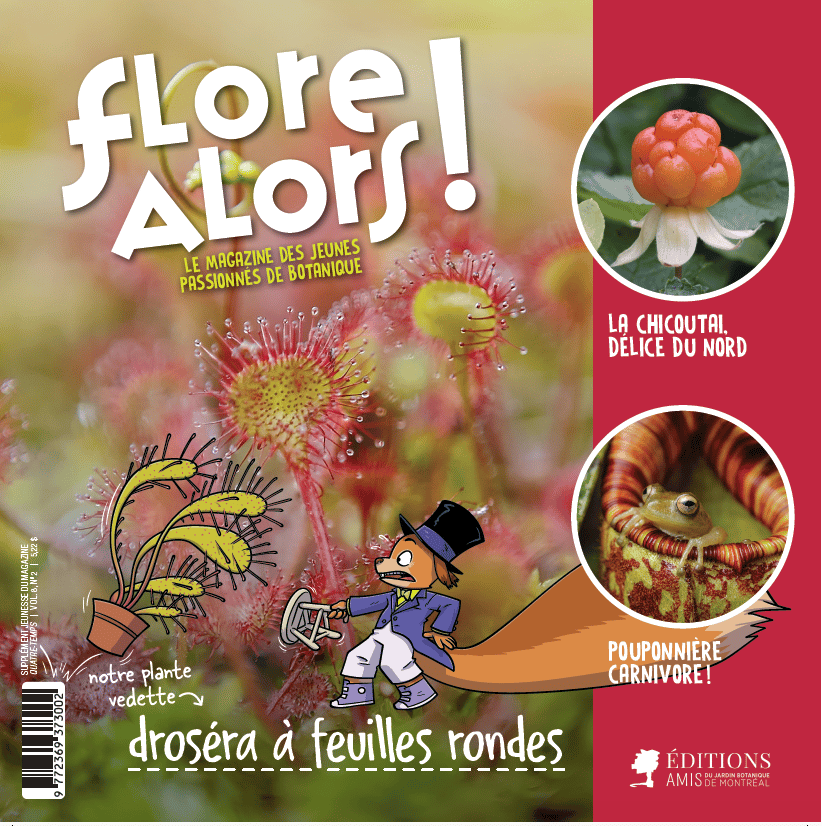 Flore alors! Vol. 8 no 2