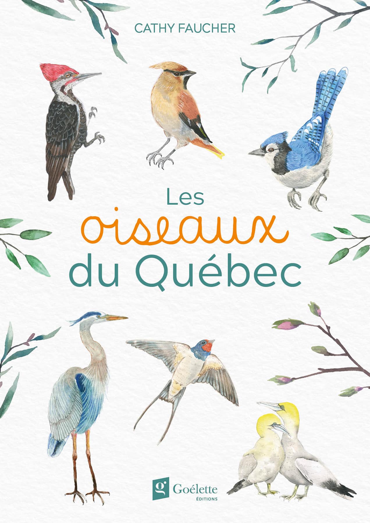 Les oiseaux du Québec