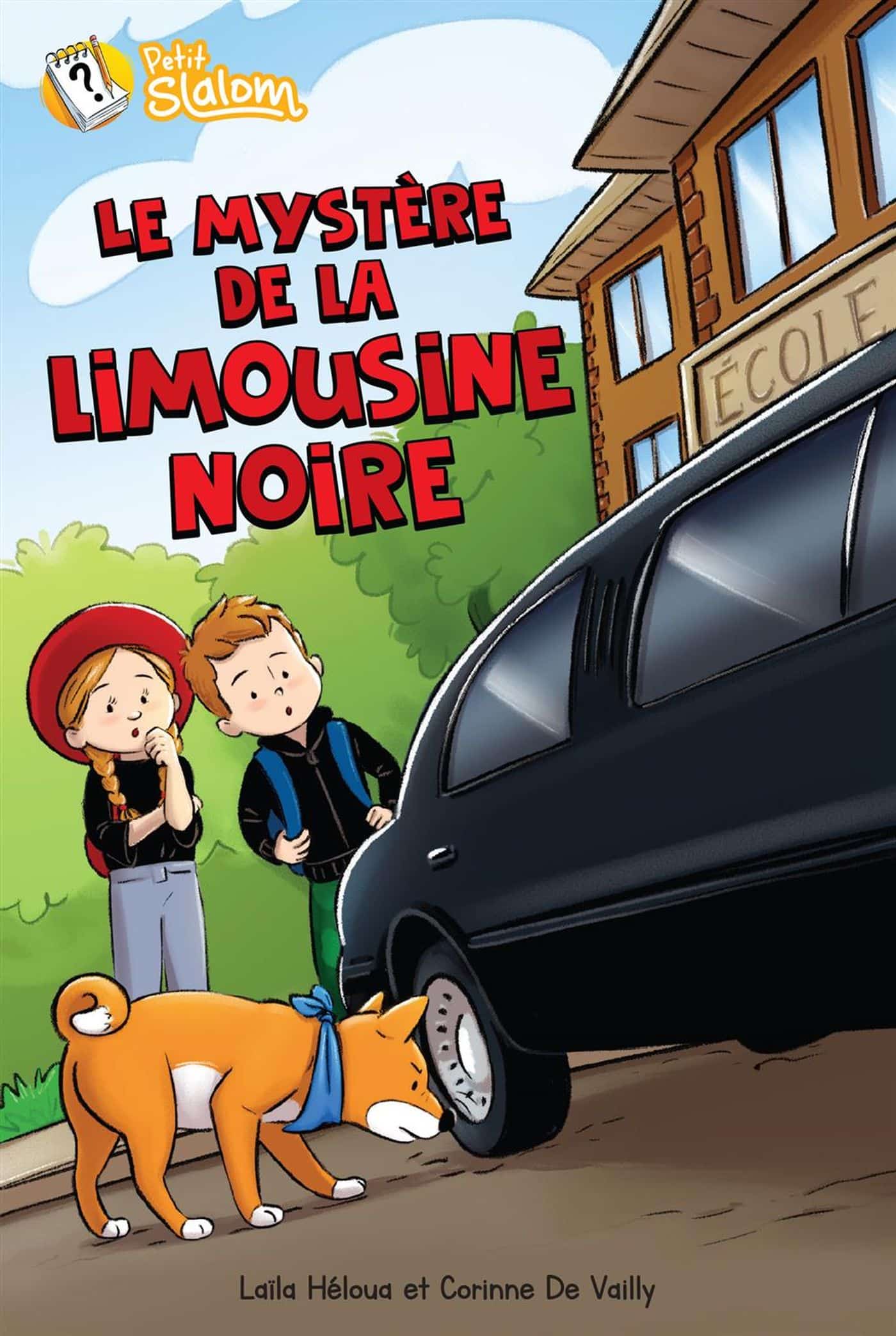 Le mystère de la limousine noire