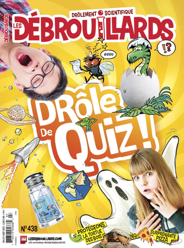 Jeux et mangas : Les Débrouillards ont testé! - Les Débrouillards