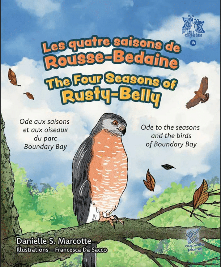 Les quatre saisons de Rousse-Bedaine – The four seasons of Rusty-Belly